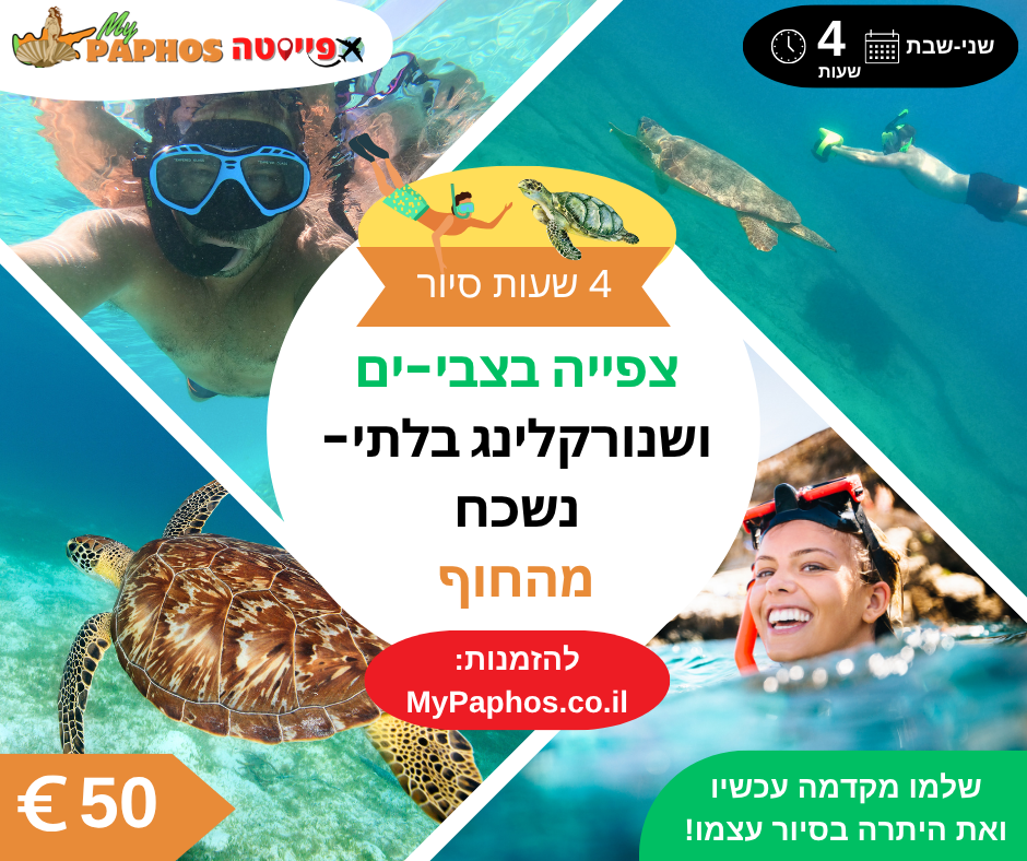 צפייה בצבי-ים ושנורקלינג מהחוף (4 שעות)