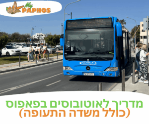 אוטובוסים בפאפוס – המדריך המלא לתחבורה ציבורית בעיר
